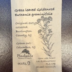 Grass Leaved Goldenrod Seeds