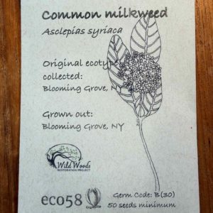 Common Milkweed Seeds