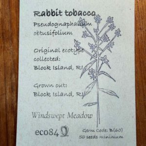 Rabbit Tobacco Seeds