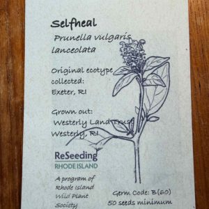 Selfheal Seeds